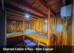 Shared Cabin 4 Guests