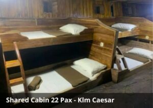 Shared Cabin 22 Guests