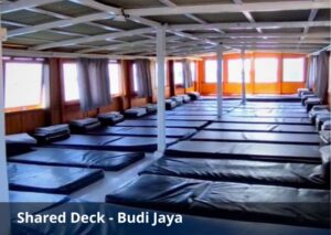 Shared Deck