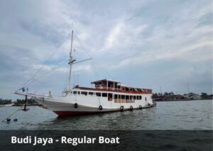 Sailing Komodo 4D3N on Budi Jaya | Budget & Affordable Cruise
