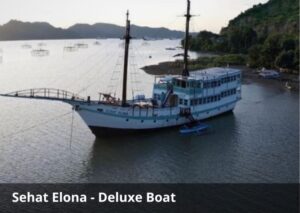 Sehat Elona Luxury Lombok to Komodo Liveaboard 4 Days 3 Nights
