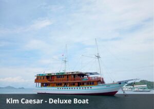 Lombok to Komodo Boat Trip on KLM Caesar